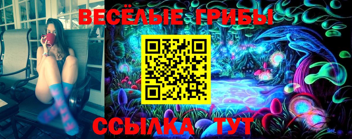 Псилоцибиновые грибы Cubensis Кузнецк