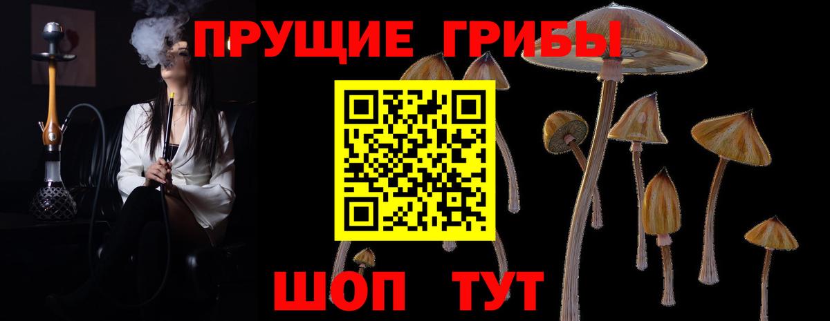даркнет сайт  Вход с VPN  Кузнецк  Псилоцибиновые грибы мицелий 